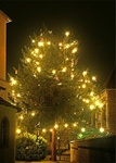 Titelbild des Albums: Weihnachtsbaum 2004