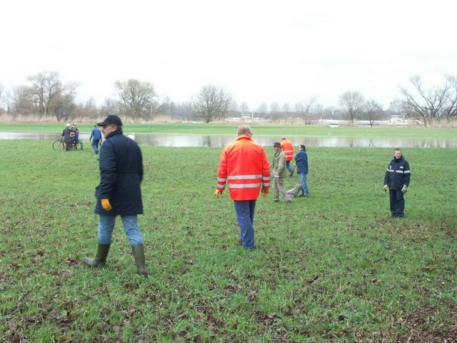 09 - Schloppkraden auf den Rheinwiesen