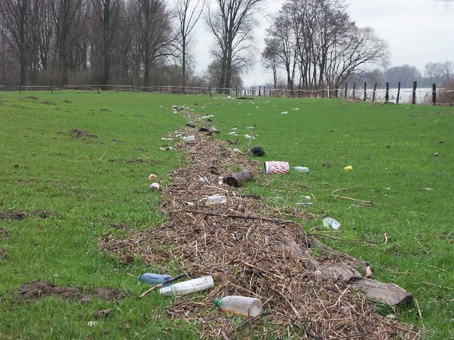 22 - Angeschwemmtes durch das Hochwasser