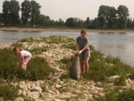 Kribbenputzer
