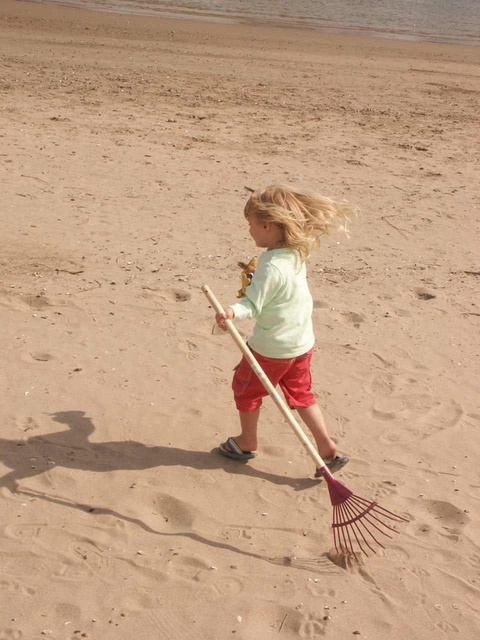 Strandfeger