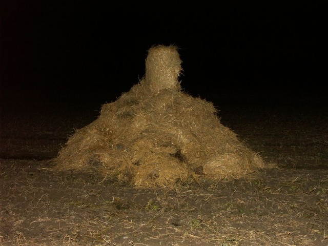 01.JPG