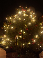 Titelbild des Albums: Weihnachstb�ume